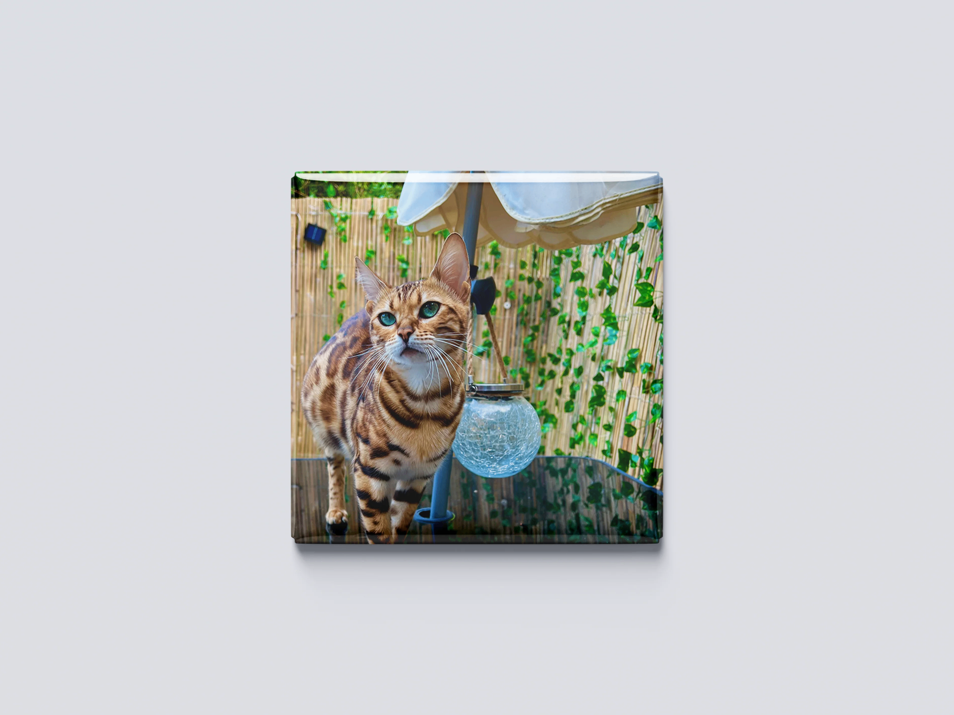 Custom photo magnet — cat